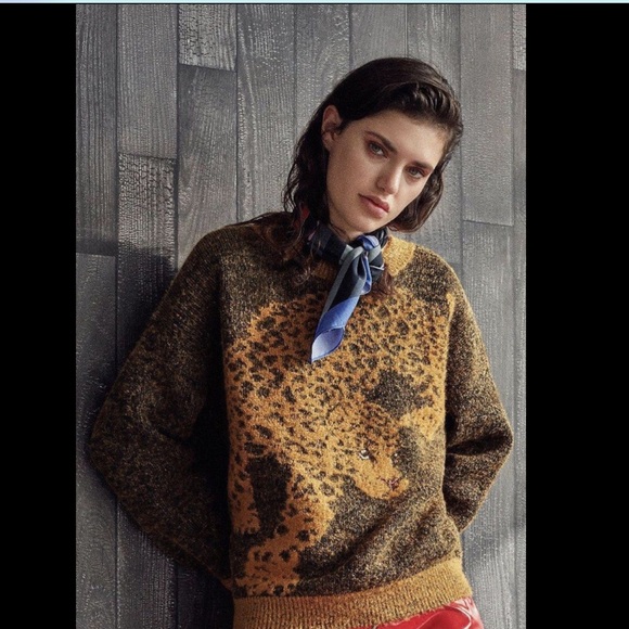 Urban Outfitters Sweaters - Urban Outfitters brown gold Leopard Graphic  M